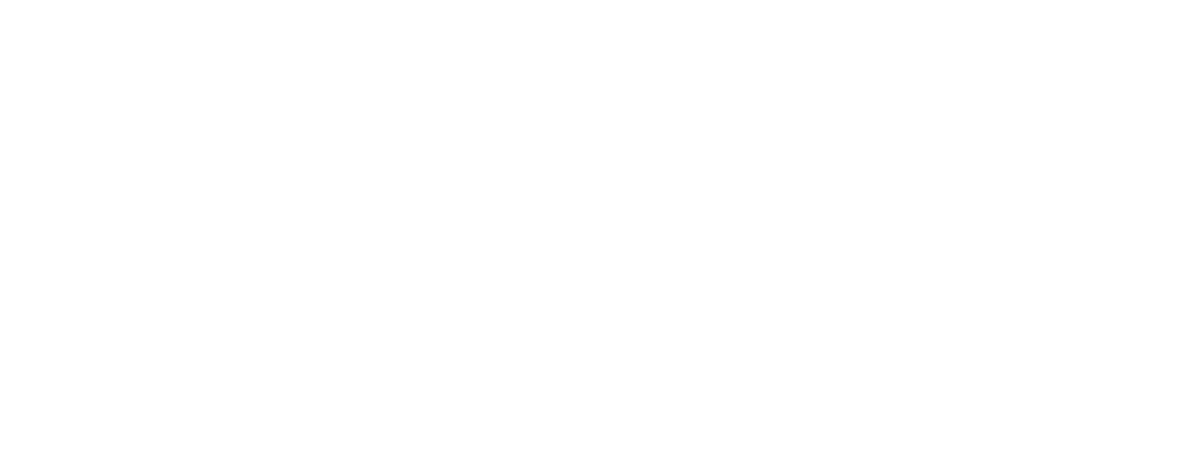 Revv