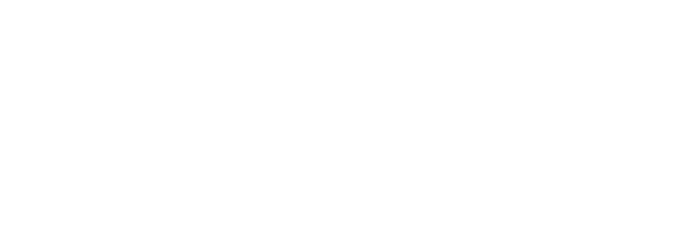 Trinnov Audio