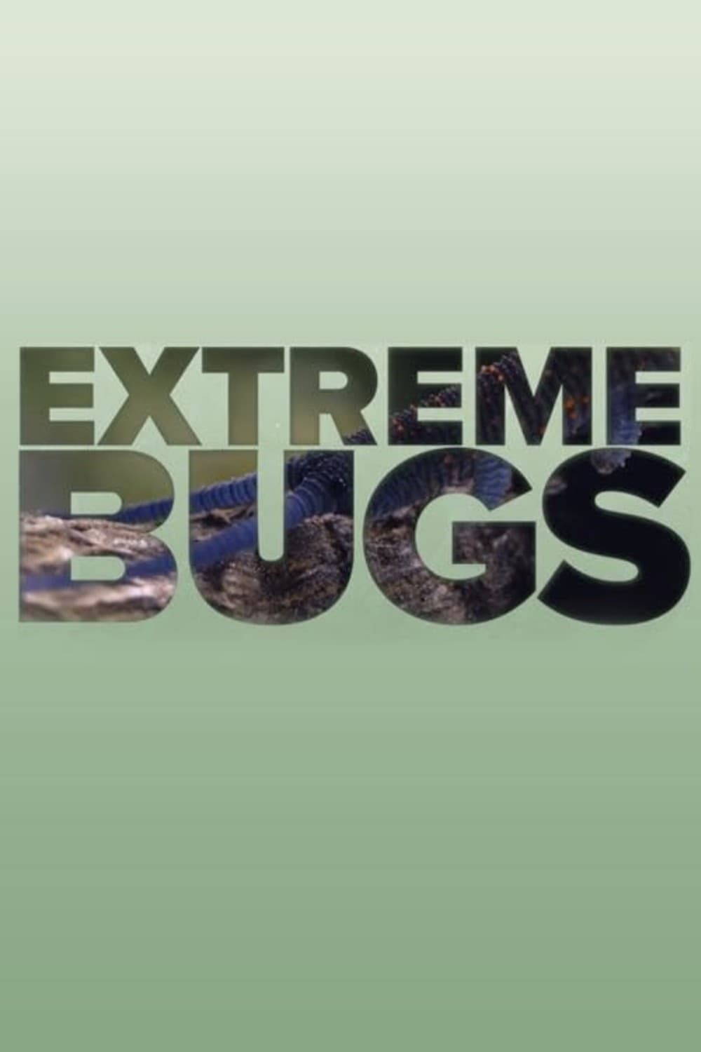Extreme Bugs poster